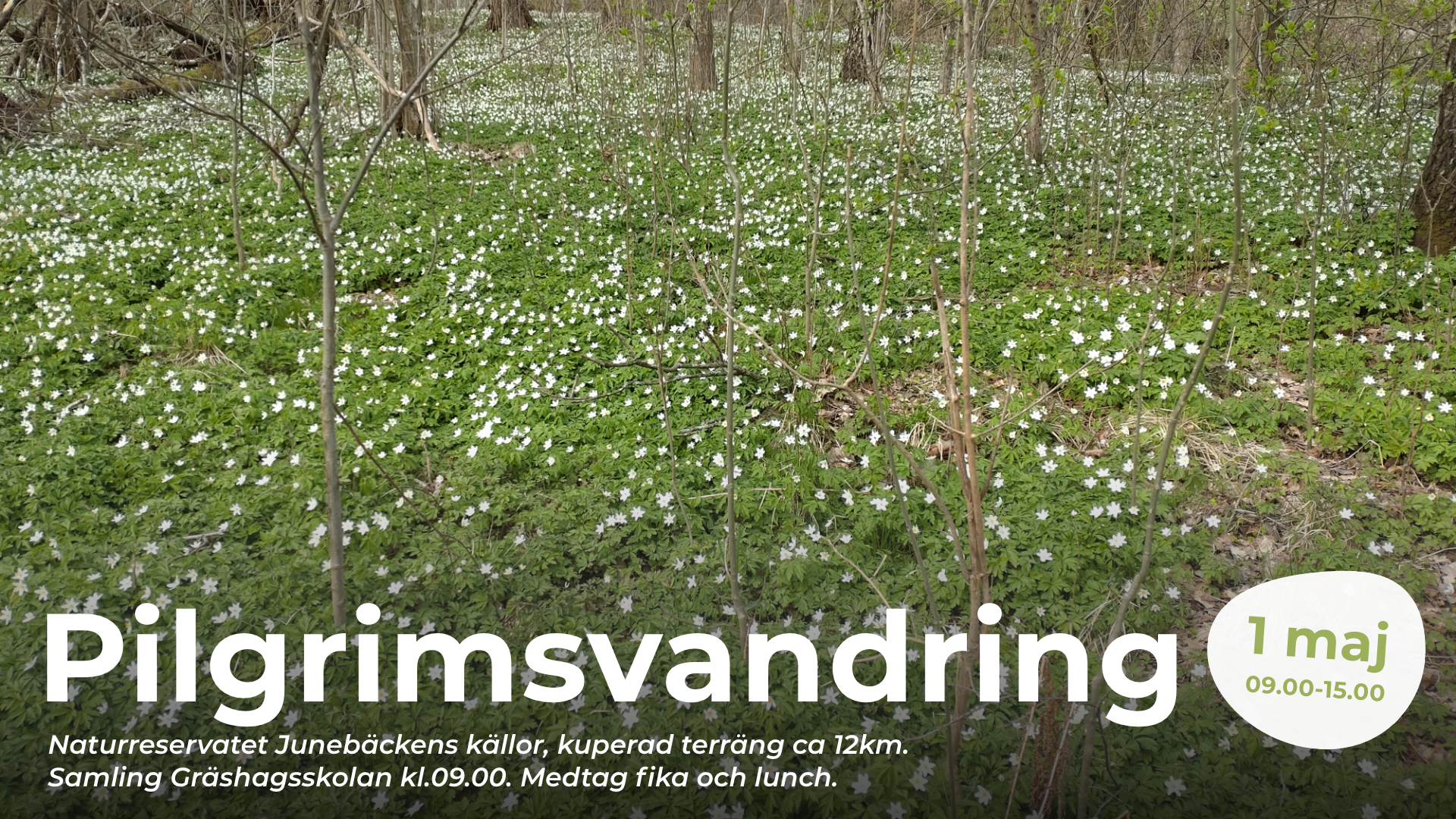 Pilgrimsvandring 1 maj